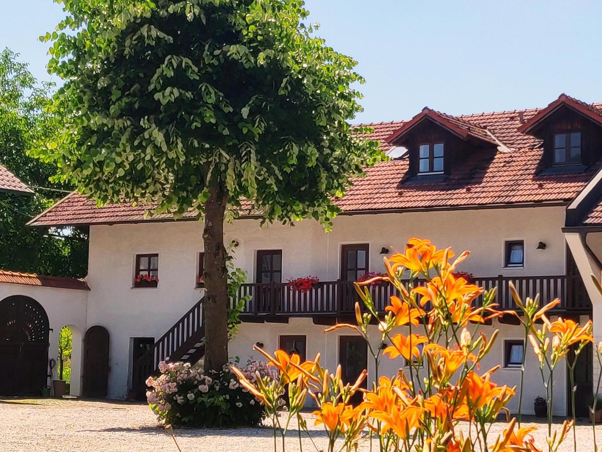 Pension Margaretenhof Bayerbach Exterior photo